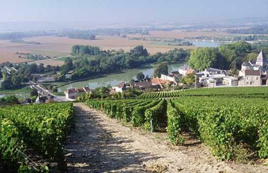 Le Clos Corbier Mareuil-sur-Ay Eksteriør billede