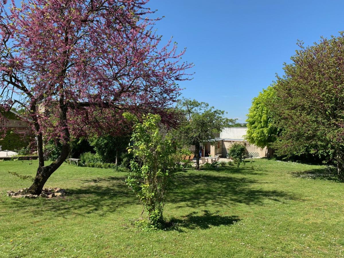 Le Clos Corbier Mareuil-sur-Ay Eksteriør billede